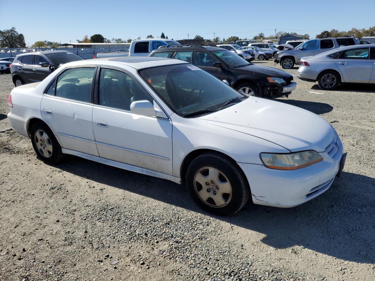 Lot #2970211337 2002 HONDA ACCORD EX