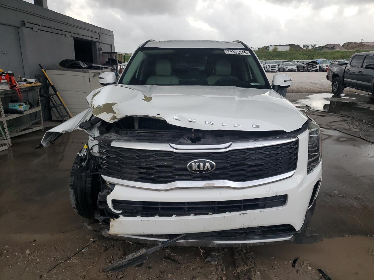 Lot #3023416341 2020 KIA TELLURIDE