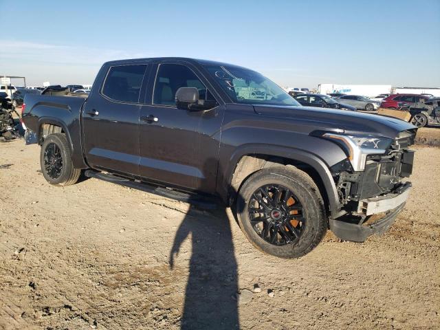 2023 TOYOTA TUNDRA CRE - 5TFLA5DBXPX084686