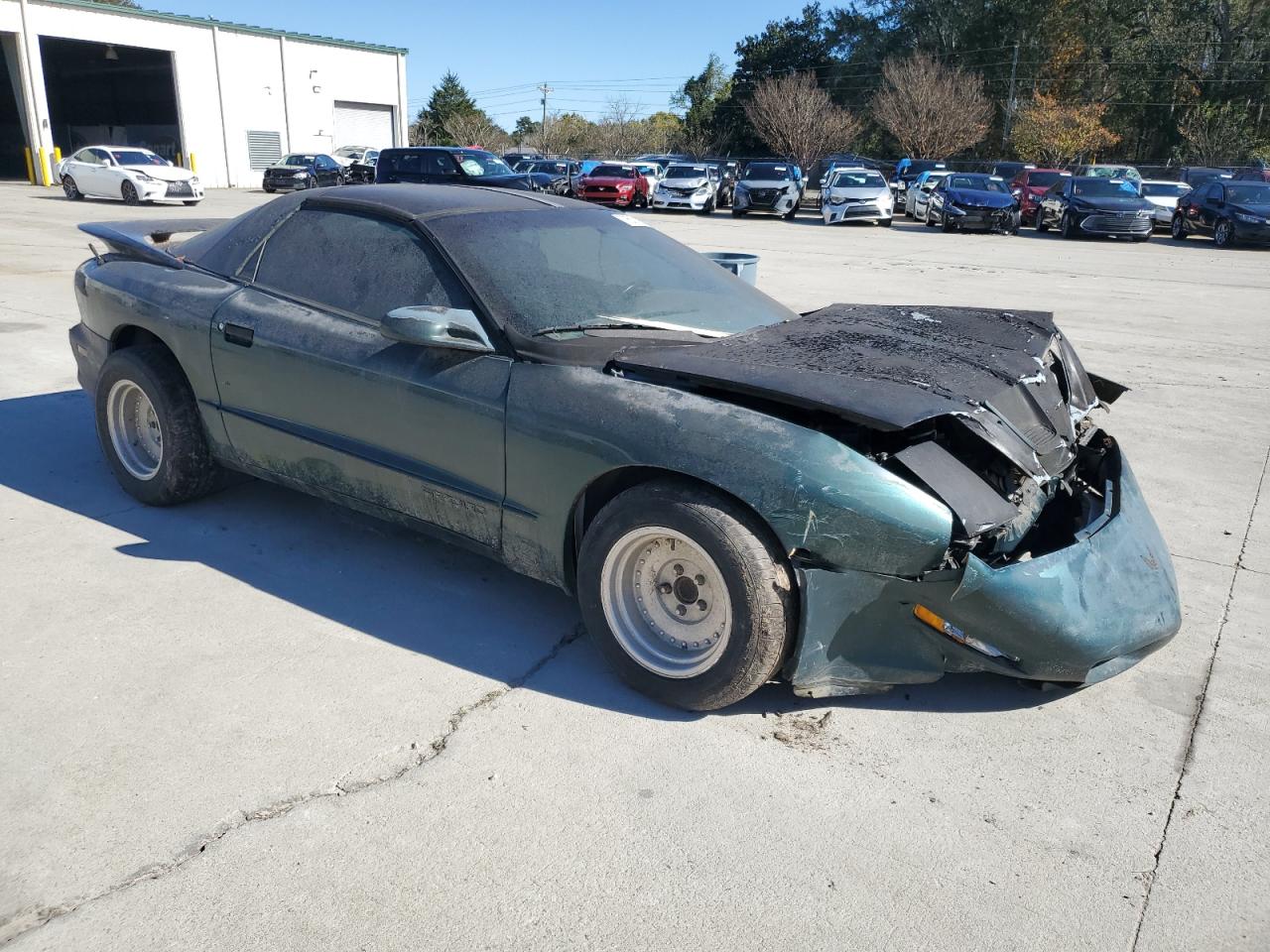 Lot #2993914331 1995 PONTIAC FIREBIRD