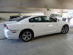 Lot #3025146233 2014 DODGE CHARGER R/