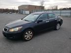 HONDA ACCORD EX photo