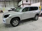 Lot #3024216863 2010 LEXUS GX 460