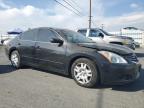 NISSAN ALTIMA BAS photo