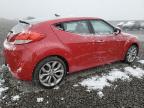 Lot #3023441272 2013 HYUNDAI VELOSTER