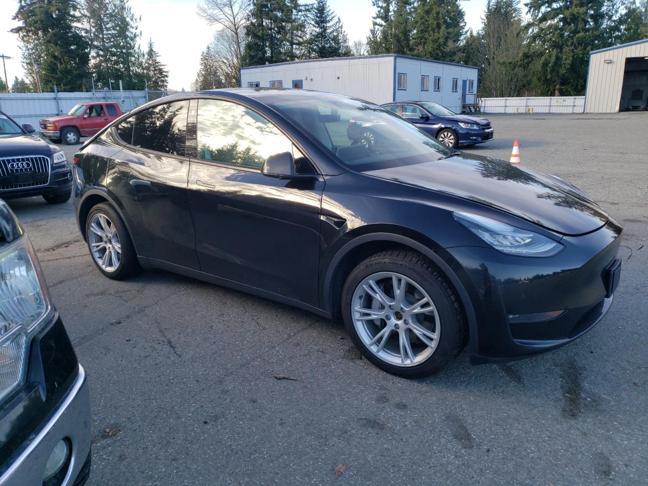 Lot #2989373703 2021 TESLA MODEL Y