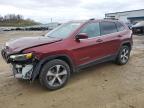 Lot #3030780431 2019 JEEP CHEROKEE L