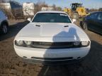 Lot #3024736216 2013 DODGE CHALLENGER