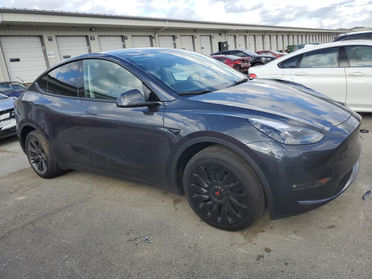 Lot #2989252624 2024 TESLA MODEL Y