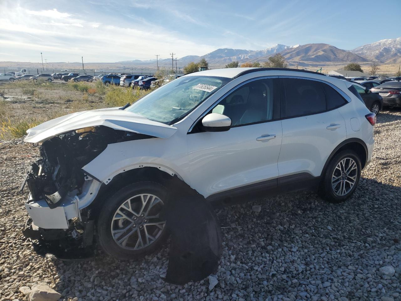 Lot #3004465832 2020 FORD ESCAPE SEL