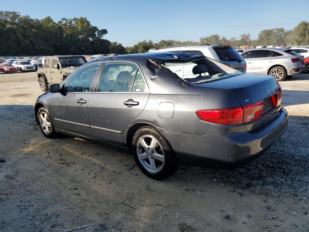 Lot #3029653101 2005 HONDA ACCORD EX