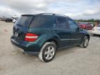 MERCEDES-BENZ ML 500 photo