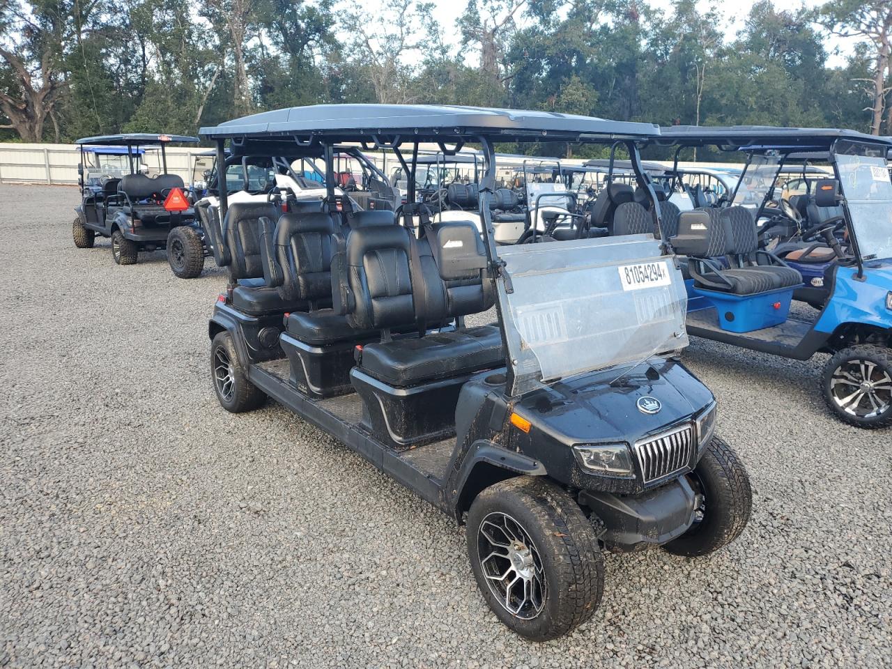  Salvage Gofb Golf Cart