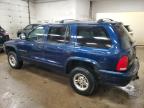 Lot #3009214287 1999 DODGE DURANGO