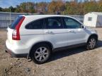 HONDA CR-V EXL photo