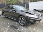 Lot #3024591617 2013 HONDA CROSSTOUR