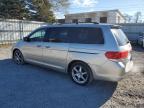 HONDA ODYSSEY EX photo