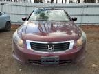 HONDA ACCORD LXP photo