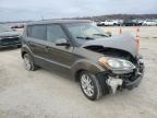 Lot #3024525383 2012 KIA SOUL