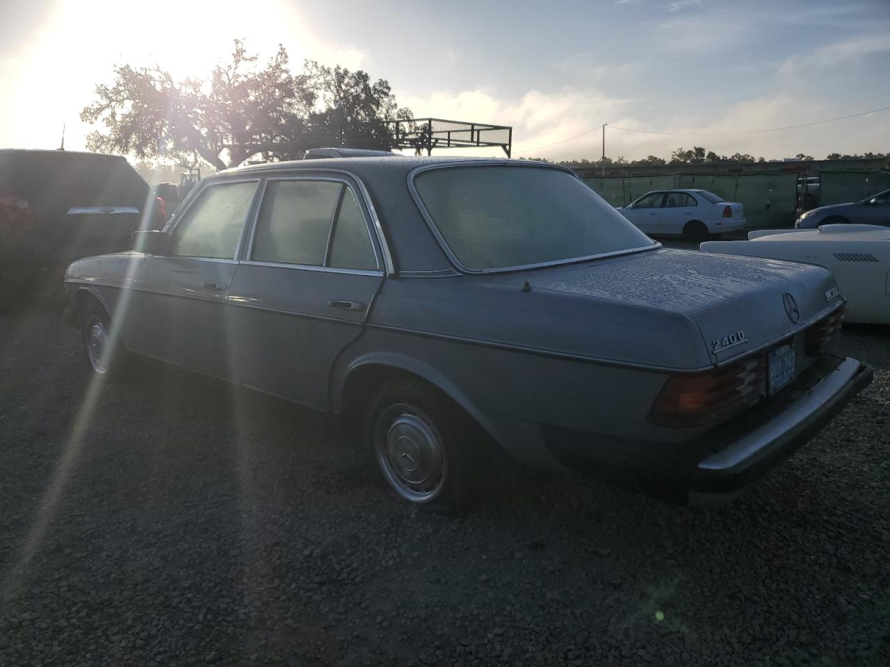 Lot #3003078692 1982 MERCEDES-BENZ 240 D