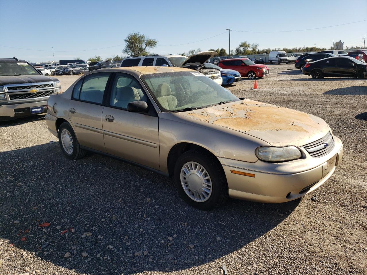 Lot #2977056900 2003 CHEVROLET MALIBU