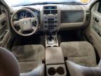 Lot #3025137180 2012 FORD ESCAPE XLT