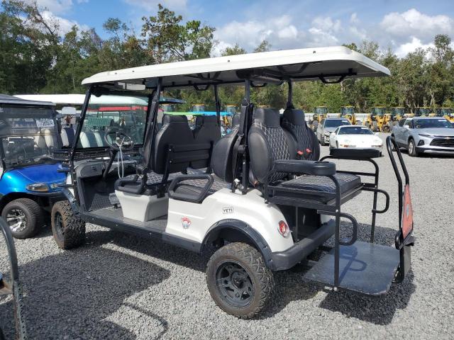 ICON GOLF CART 2022 silver   7R4CL4BA8PS052829 photo #4