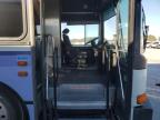 Lot #3023814961 1997 GILLIG BUS