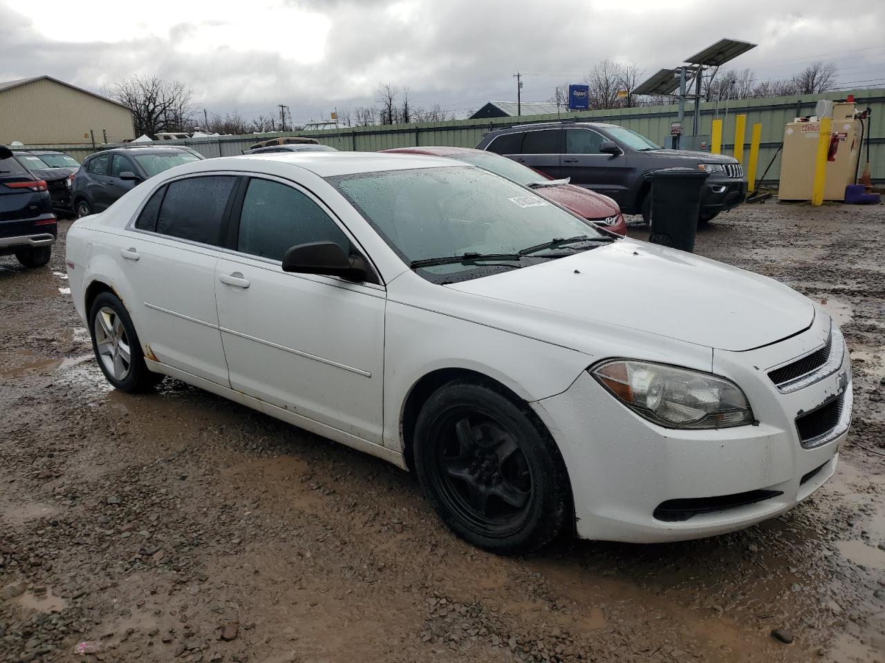 Lot #3033012034 2011 CHEVROLET MALIBU LS