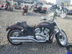 Lot #3023441264 2005 HARLEY-DAVIDSON VRSCB