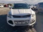 Lot #3023651934 2016 FORD ESCAPE TIT