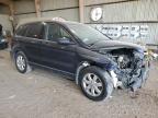 Lot #3028426221 2007 HONDA CR-V EX