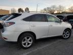 LEXUS RX 350 photo