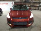 Lot #3023620240 2016 FORD ESCAPE