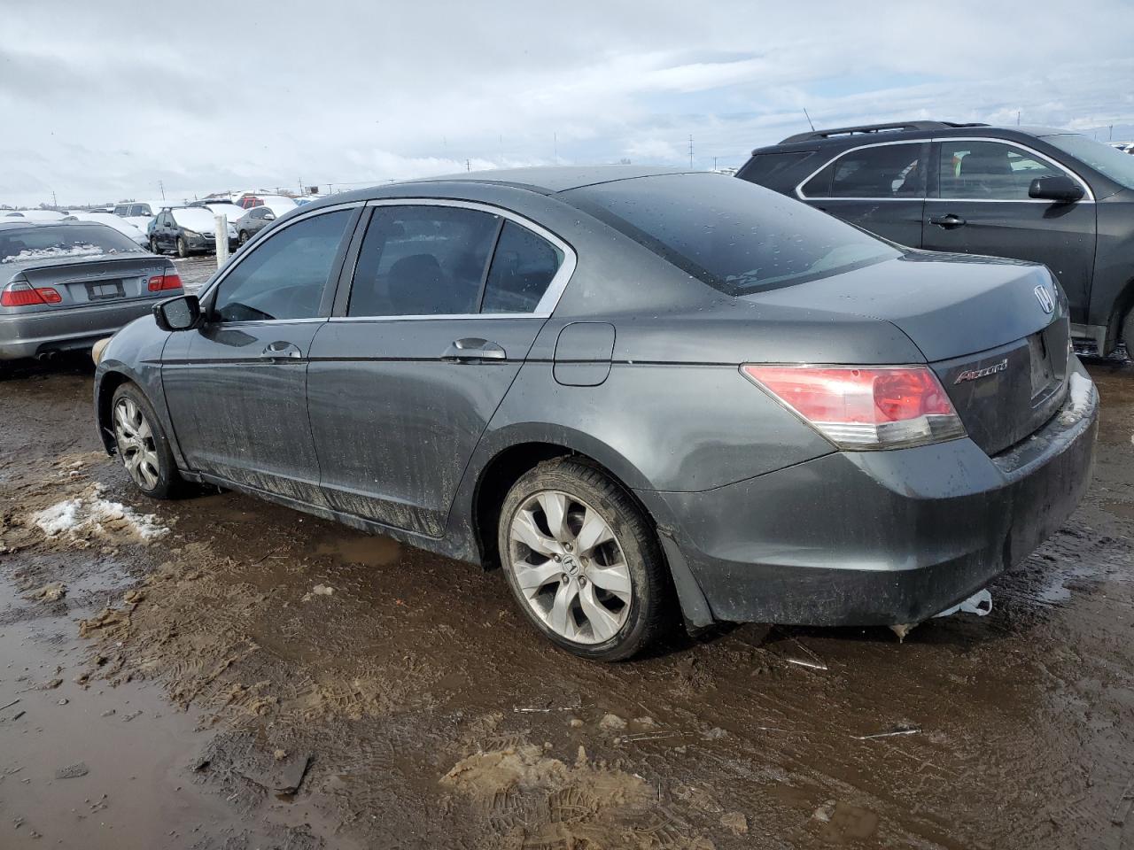 Lot #3034326064 2010 HONDA ACCORD LXP