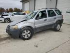 Lot #3023999212 2007 FORD ESCAPE XLS