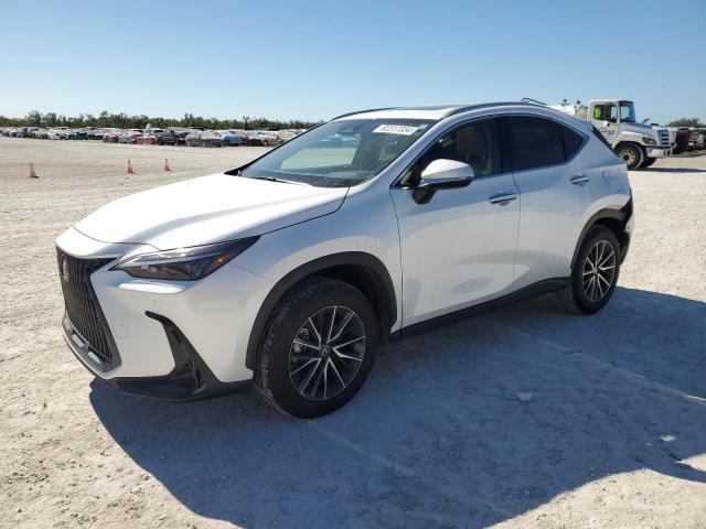 2024 LEXUS NX 250 PRE #3004276694