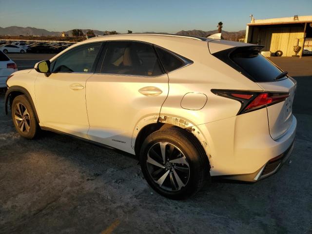 2021 LEXUS NX 300H BA JTJGJRDZ7M2155662