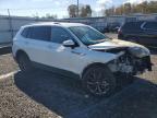 Lot #2990941311 2023 VOLKSWAGEN TIGUAN SE