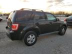 Lot #3025040258 2011 FORD ESCAPE XLT