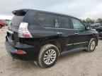 LEXUS GX 460 снимка