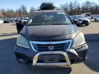 HONDA ODYSSEY TO photo