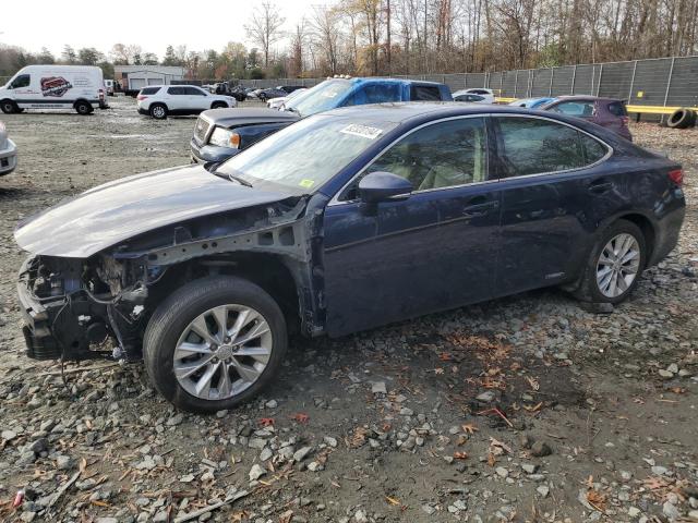 2013 LEXUS ES300