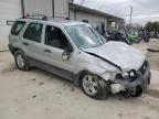 Lot #3023999212 2007 FORD ESCAPE XLS