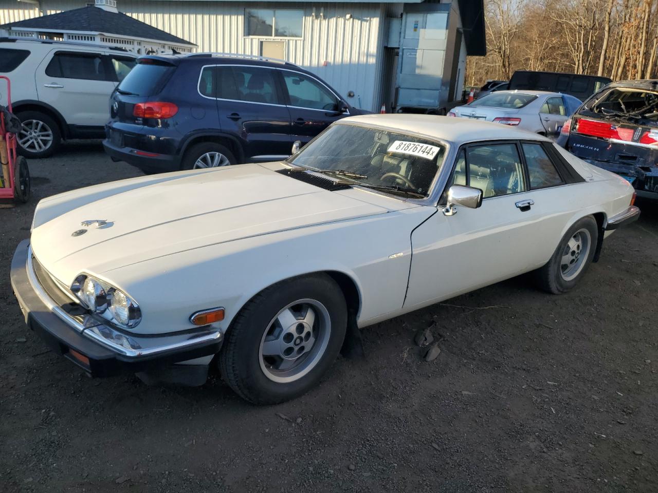 Lot #2993840668 1982 JAGUAR XJS