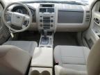 Lot #3023866853 2011 FORD ESCAPE XLT