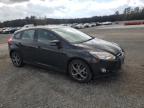 FORD FOCUS SE photo