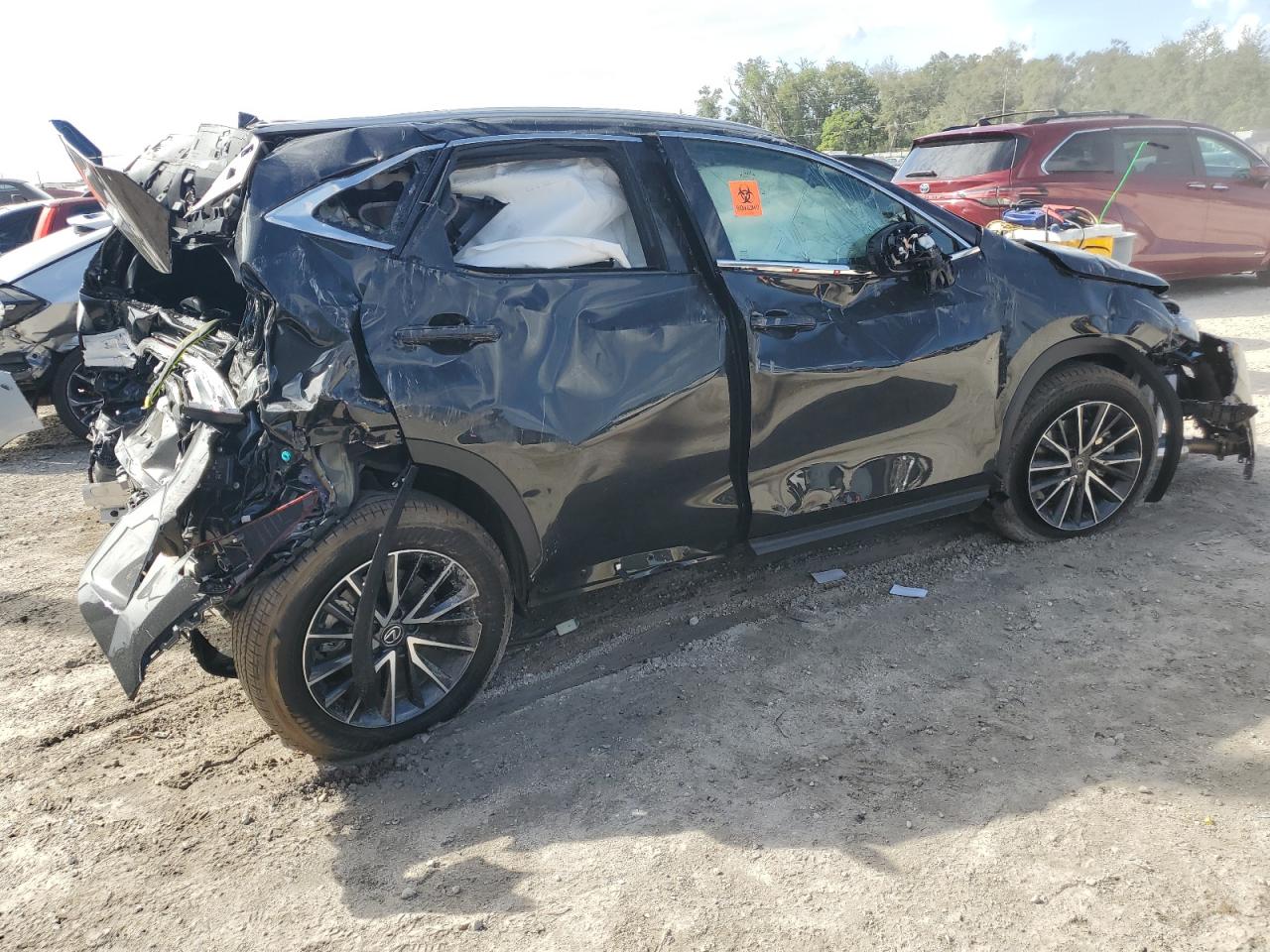 Lot #2993177473 2024 LEXUS NX 350 PRE