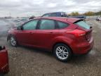 Lot #3023427259 2017 FORD FOCUS SE