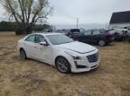 CADILLAC CTS LUXURY photo